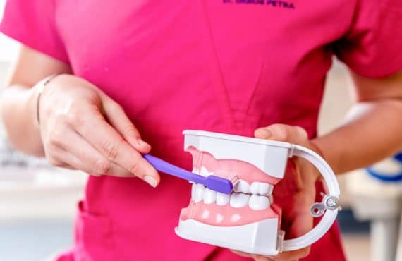 Dr. Ökrös Petra bemutatja a fogkefe helyes használatát.