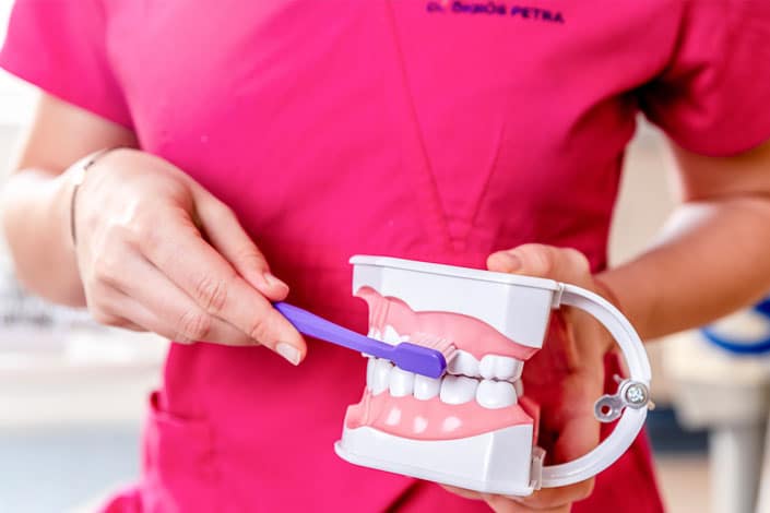 Dr. Ökrös Petra bemutatja a fogkefe helyes használatát.