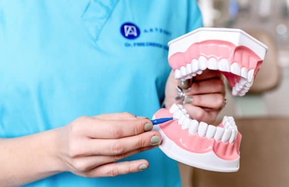 Dr. Friedreich Dóra bemutatja a fogköztisztító kefe helyes használatát.