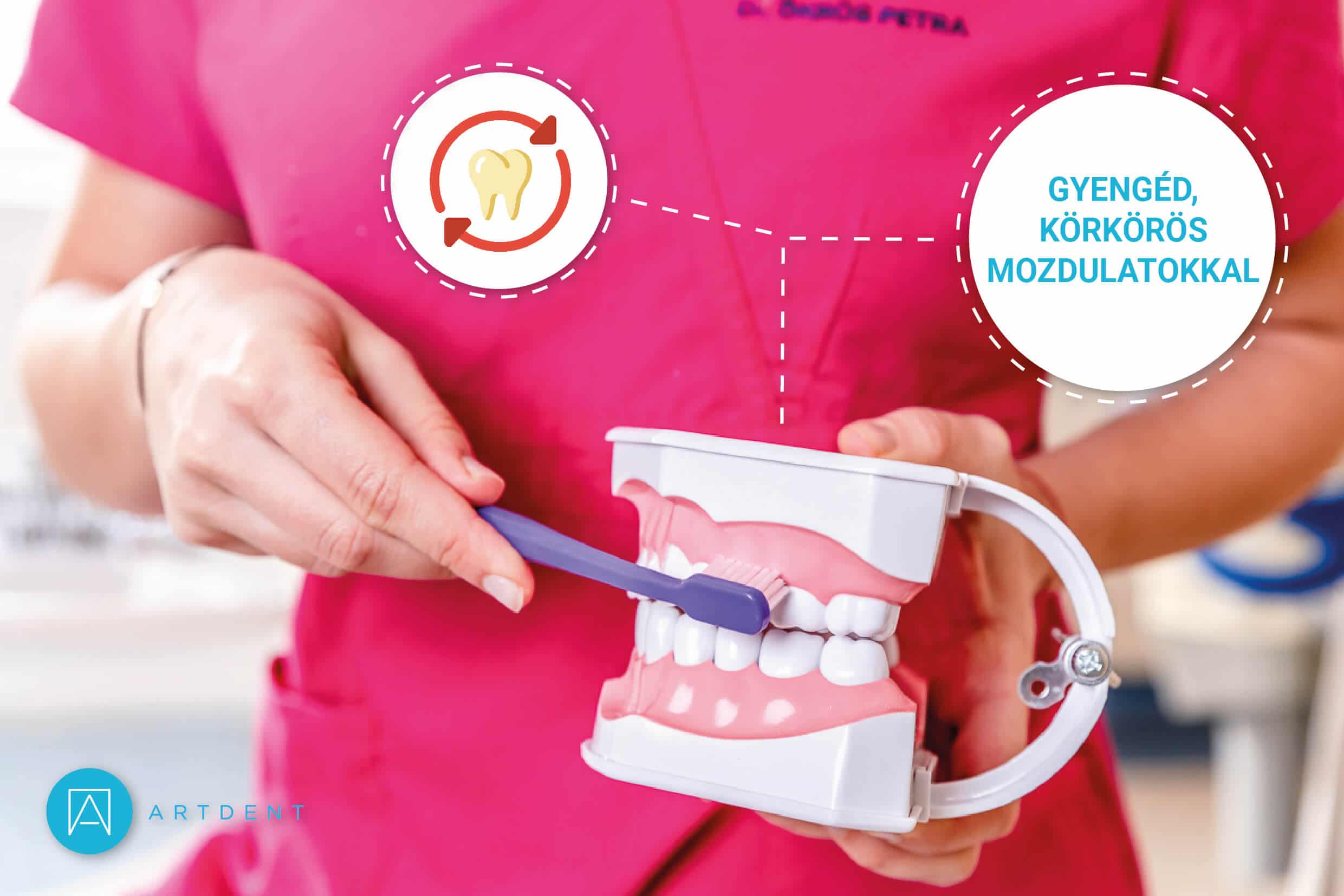 Dr. Ökrös Petra mutatja, hogy apró, körkörös mozdulattal mossunk fogat.