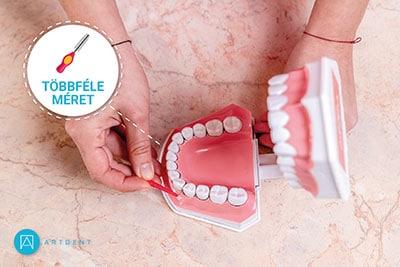 A fogközkefe többdéle mérete